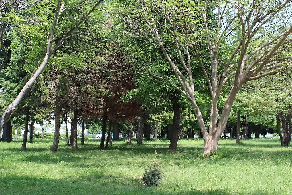 База отдыха Youth Centre Пловдив